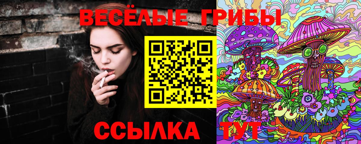 Псилоцибиновые грибы ЛСД  Вход с VPN  Губаха 
